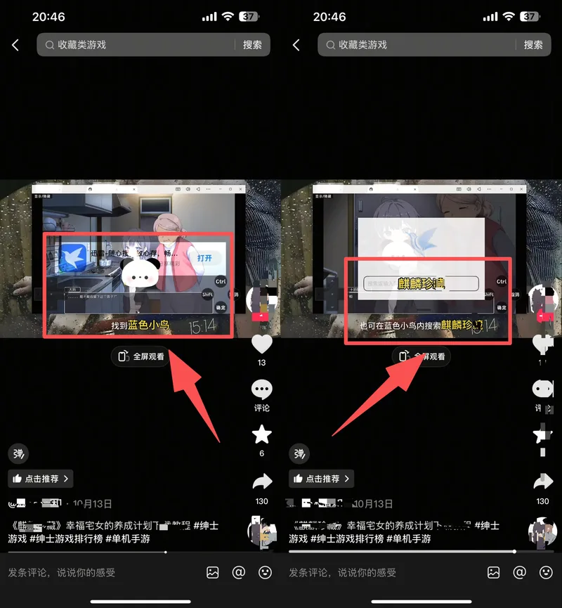 推广案例2-视频引导